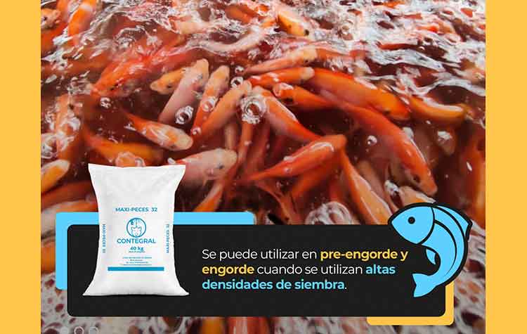 Veterinaria El Rancho