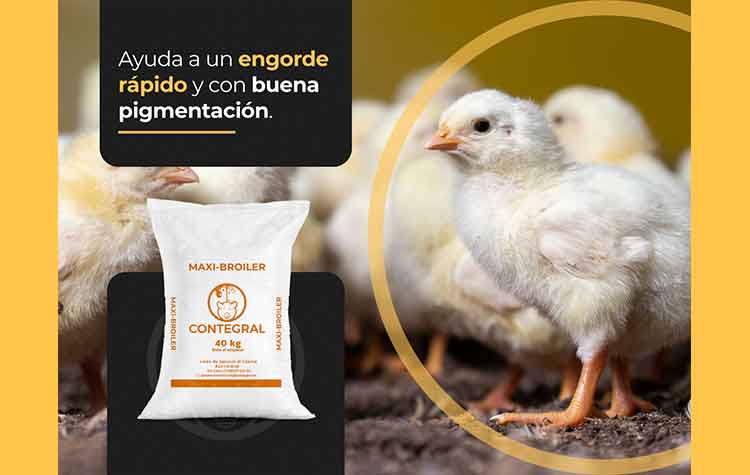 Veterinaria El Rancho