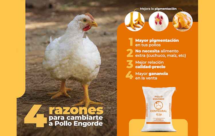 Veterinaria El Rancho