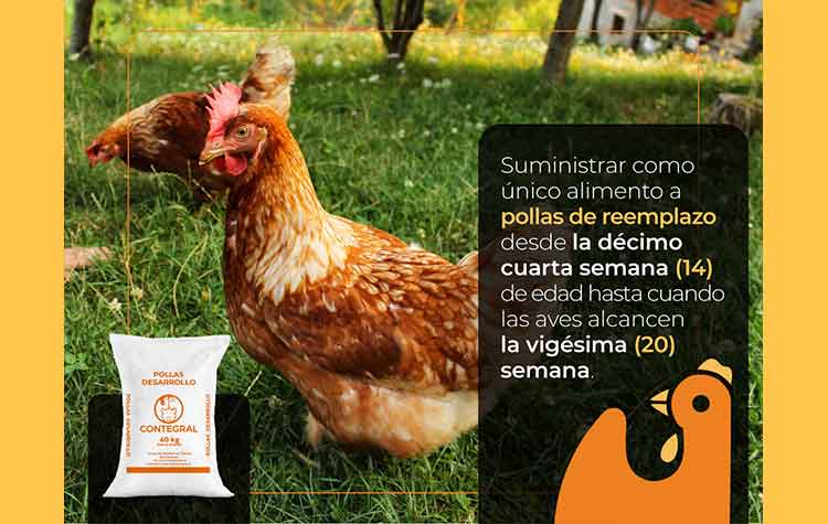 Veterinaria El Rancho