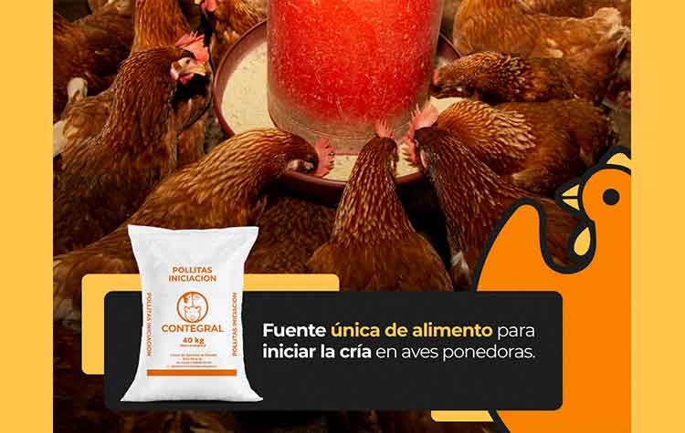 Veterinaria El Rancho