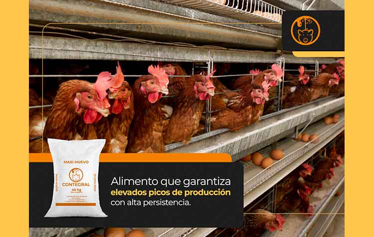 Veterinaria El Rancho