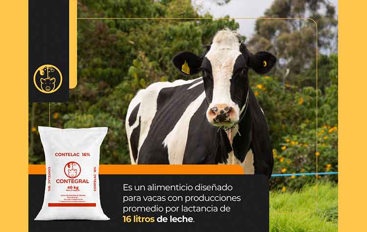 Veterinaria El Rancho