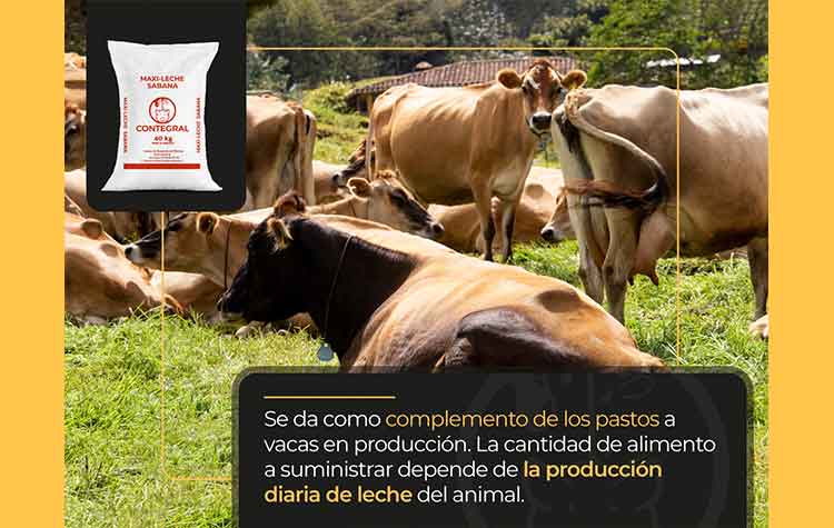 Veterinaria El Rancho