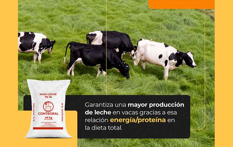 Veterinaria El Rancho