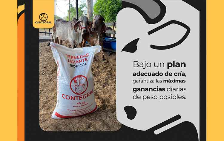 Veterinaria El Rancho
