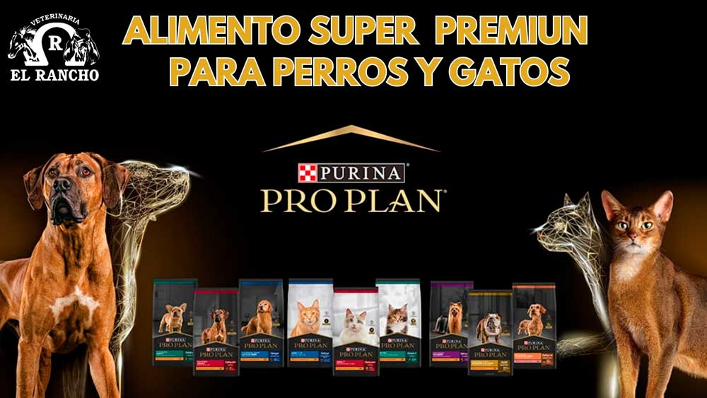 Veterinaria El Rancho