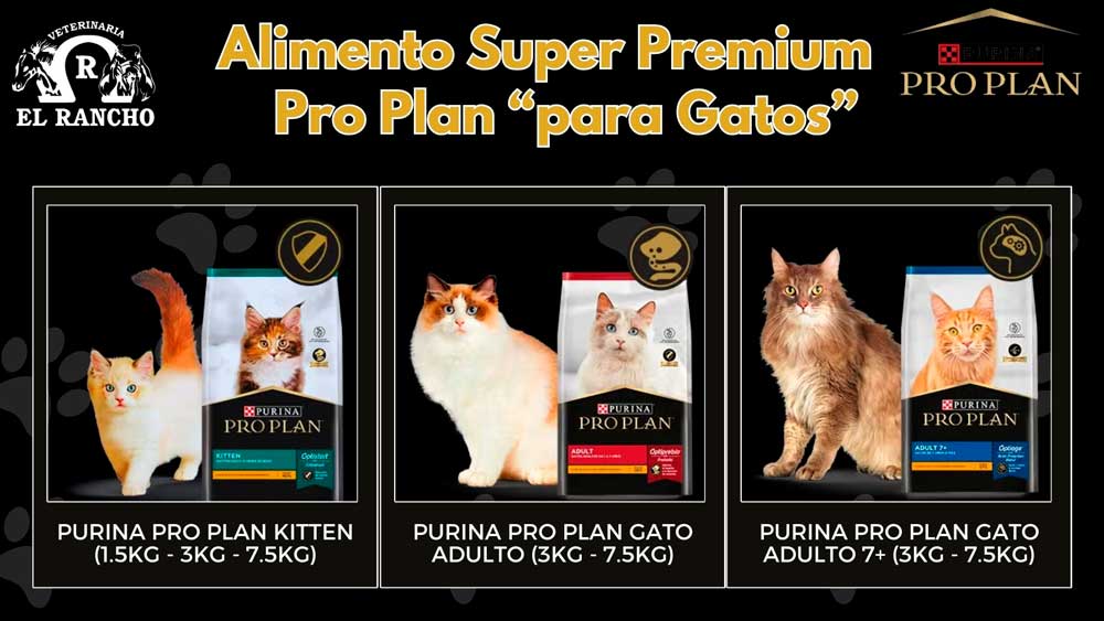 Veterinaria El Rancho