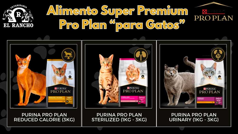 Veterinaria El Rancho