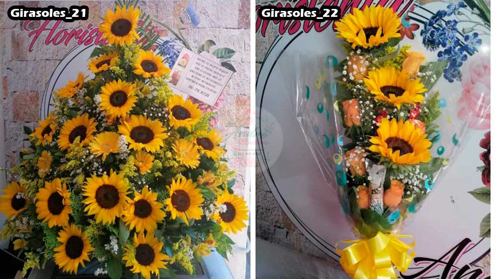 Floristería Andre