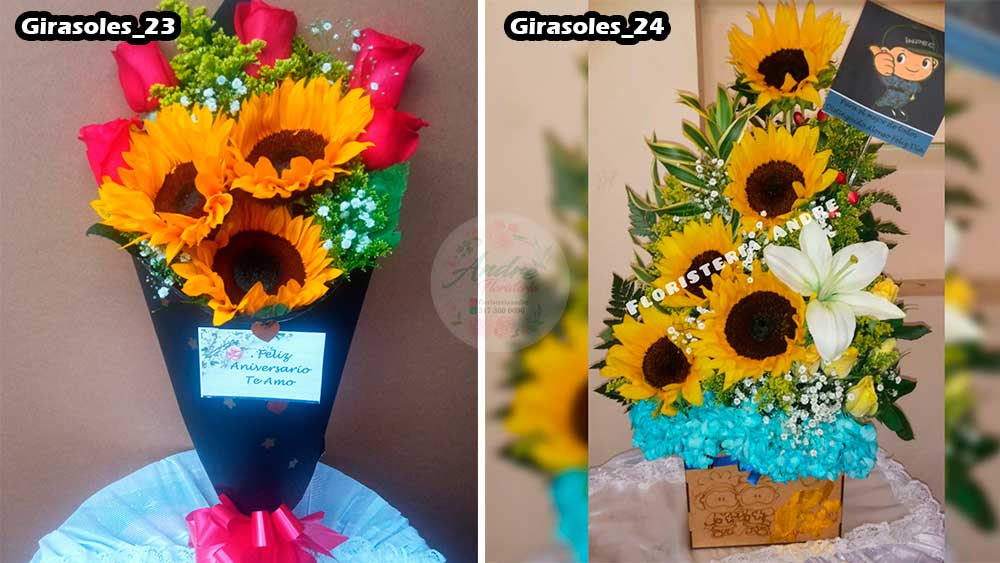 Floristería Andre