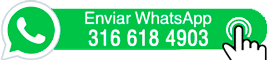 Chat on WhatsApp